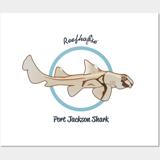 Port Jackson Shark Posters and Art